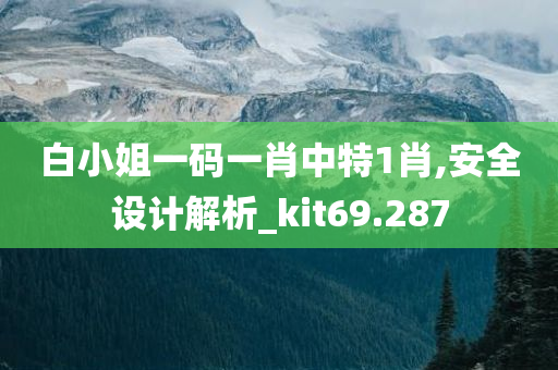 白小姐一码一肖中特1肖,安全设计解析_kit69.287