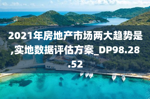 2021年房地产市场两大趋势是,实地数据评估方案_DP98.28.52