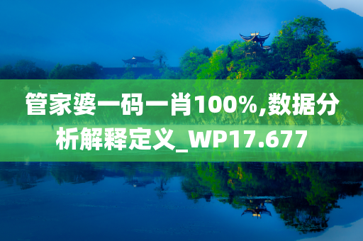 管家婆一码一肖100%,数据分析解释定义_WP17.677