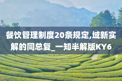 餐饮管理制度20条规定,域新实解的同总复_一知半解版KY6