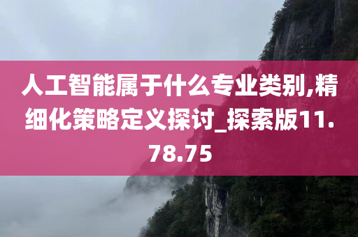 人工智能属于什么专业类别,精细化策略定义探讨_探索版11.78.75