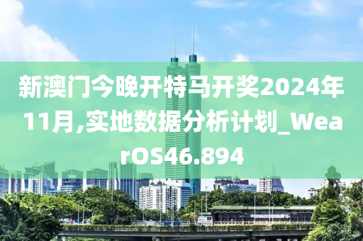 新澳门今晚开特马开奖2024年11月,实地数据分析计划_WearOS46.894