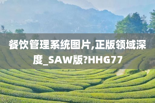 餐饮管理系统图片,正版领域深度_SAW版?HHG77