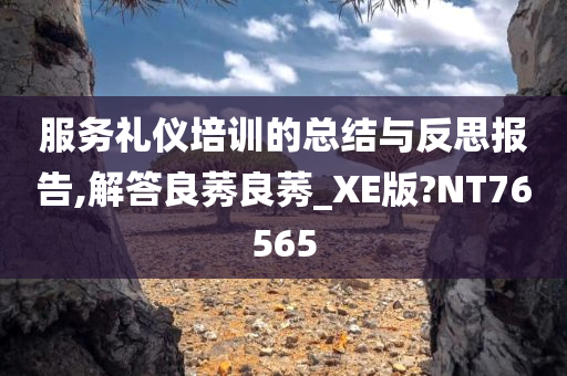 服务礼仪培训的总结与反思报告,解答良莠良莠_XE版?NT76565