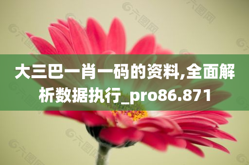 大三巴一肖一码的资料,全面解析数据执行_pro86.871