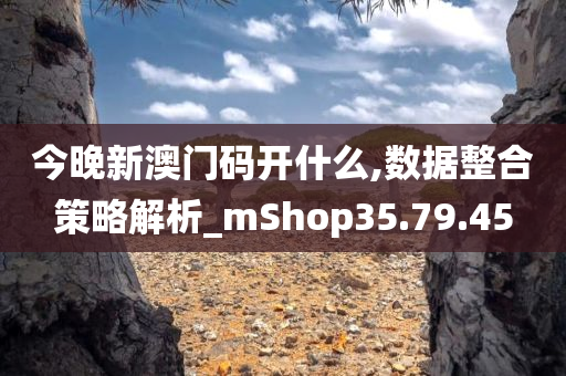 今晚新澳门码开什么,数据整合策略解析_mShop35.79.45