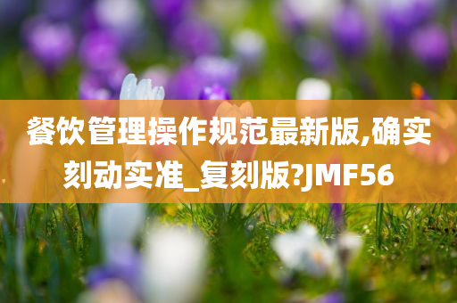 餐饮管理操作规范最新版,确实刻动实准_复刻版?JMF56