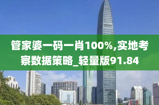 管家婆一码一肖100%,实地考察数据策略_轻量版91.84