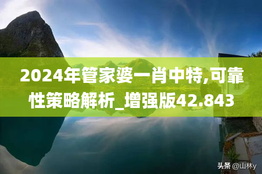 2024年管家婆一肖中特,可靠性策略解析_增强版42.843