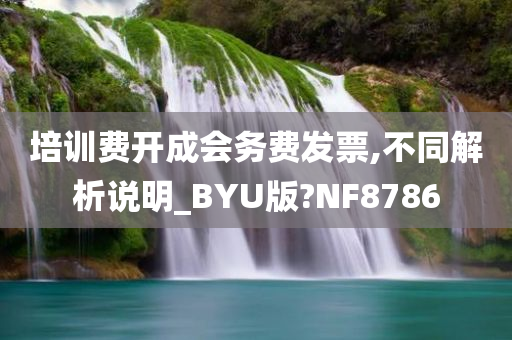 培训费开成会务费发票,不同解析说明_BYU版?NF8786