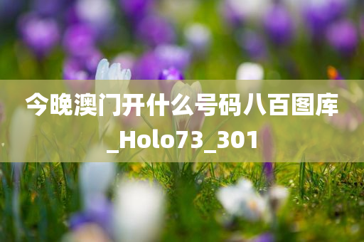 今晚澳门开什么号码八百图库_Holo73_301