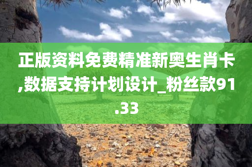 正版资料免费精准新奥生肖卡,数据支持计划设计_粉丝款91.33