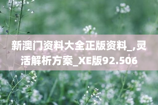 新澳门资料大全正版资料_,灵活解析方案_XE版92.506