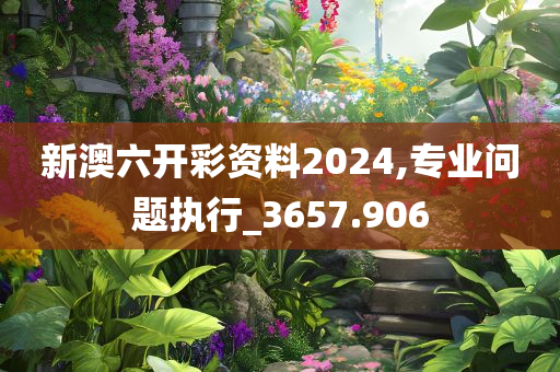 新澳六开彩资料2024,专业问题执行_3657.906