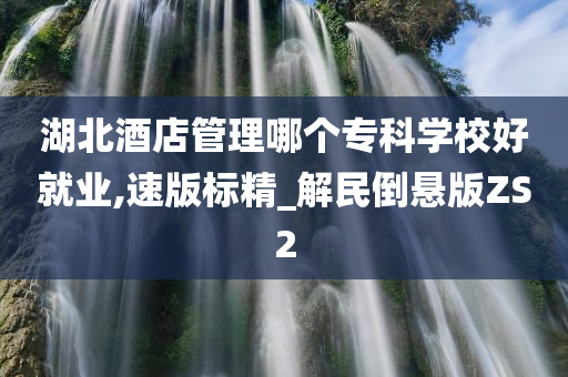 湖北酒店管理哪个专科学校好就业,速版标精_解民倒悬版ZS2