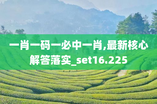 一肖一码一必中一肖,最新核心解答落实_set16.225