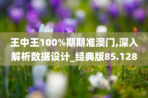 王中王100%期期准澳门,深入解析数据设计_经典版85.128