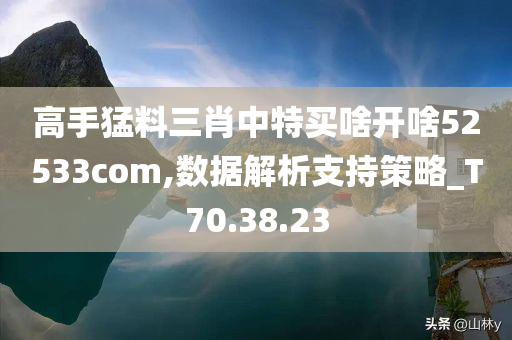 高手猛料三肖中特买啥开啥52533com,数据解析支持策略_T70.38.23