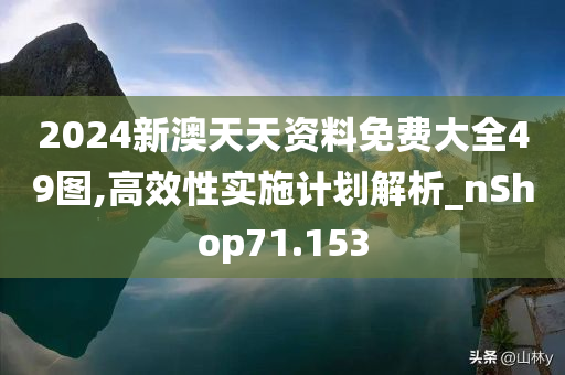 2024新澳天天资料免费大全49图,高效性实施计划解析_nShop71.153