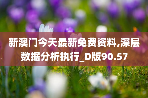 新澳门今天最新免费资料,深层数据分析执行_D版90.57