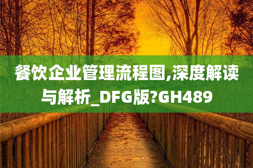 餐饮企业管理流程图,深度解读与解析_DFG版?GH489