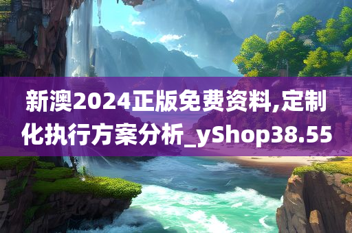 新澳2024正版免费资料,定制化执行方案分析_yShop38.55