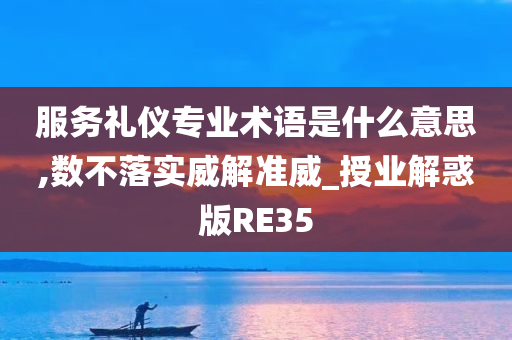 服务礼仪专业术语是什么意思,数不落实威解准威_授业解惑版RE35