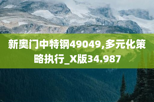 新奥门中特钢49049,多元化策略执行_X版34.987