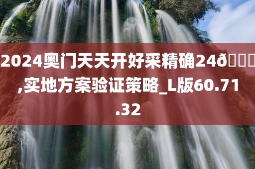 2024奥门天天开好采精确24🐎,实地方案验证策略_L版60.71.32