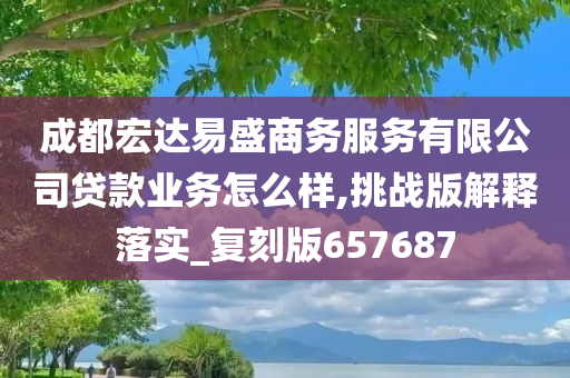 成都宏达易盛商务服务有限公司贷款业务怎么样,挑战版解释落实_复刻版657687