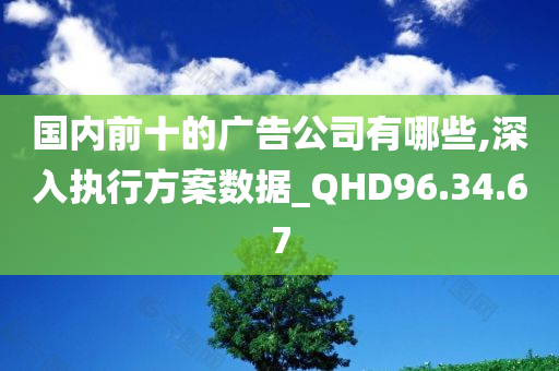 国内前十的广告公司有哪些,深入执行方案数据_QHD96.34.67