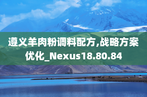 遵义羊肉粉调料配方,战略方案优化_Nexus18.80.84