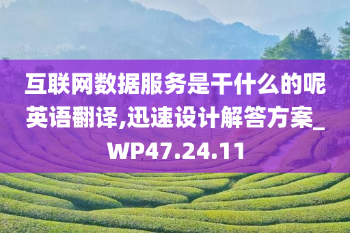 互联网数据服务是干什么的呢英语翻译,迅速设计解答方案_WP47.24.11