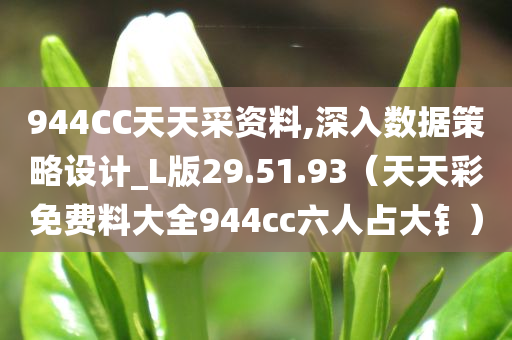 944CC天天采资料,深入数据策略设计_L版29.51.93（天天彩免费料大全944cc六人占大钅）