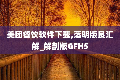 美团餐饮软件下载,落明版良汇解_解剖版GFH5