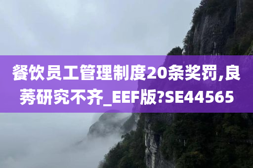 餐饮员工管理制度20条奖罚,良莠研究不齐_EEF版?SE44565