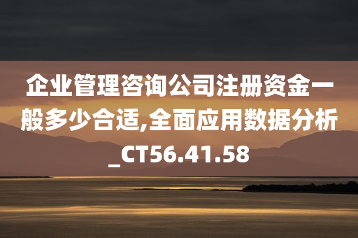 企业管理咨询公司注册资金一般多少合适,全面应用数据分析_CT56.41.58