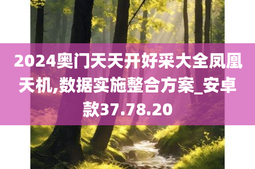 2024奥门天天开好采大全凤凰天机,数据实施整合方案_安卓款37.78.20