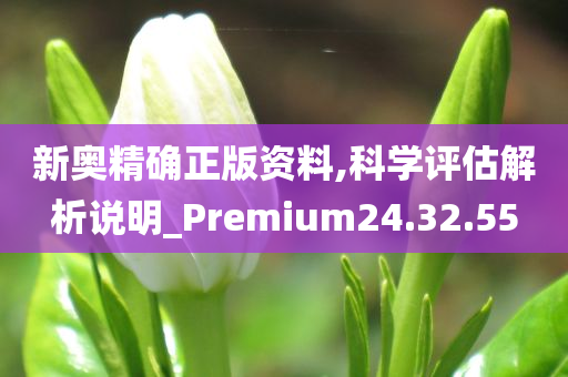 新奥精确正版资料,科学评估解析说明_Premium24.32.55