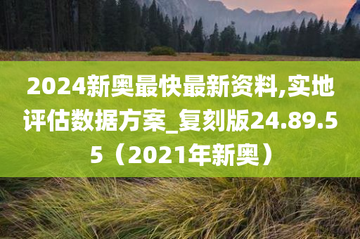 2024新奥最快最新资料,实地评估数据方案_复刻版24.89.55（2021年新奥）