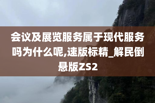 会议及展览服务属于现代服务吗为什么呢,速版标精_解民倒悬版ZS2