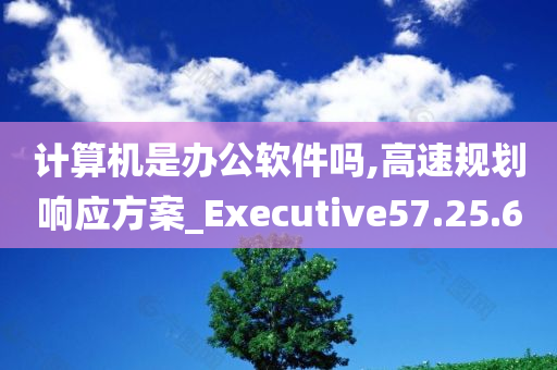 计算机是办公软件吗,高速规划响应方案_Executive57.25.60