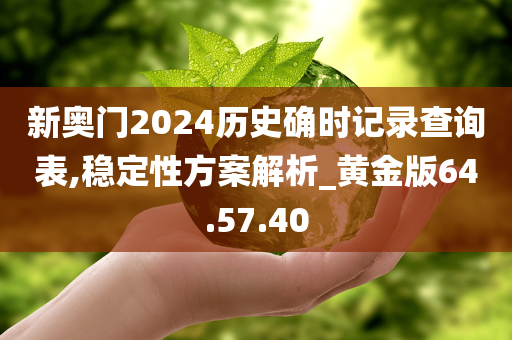 新奥门2024历史确时记录查询表,稳定性方案解析_黄金版64.57.40