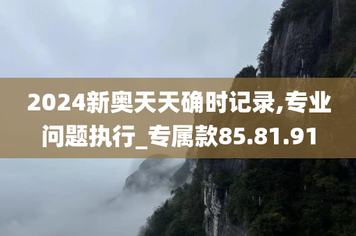 2024新奥天天确时记录,专业问题执行_专属款85.81.91