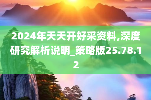 2024年天天开好采资料,深度研究解析说明_策略版25.78.12