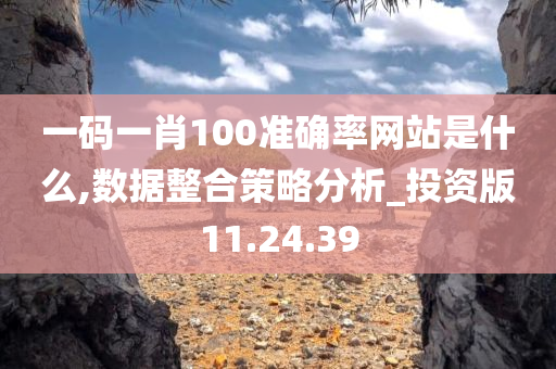 一码一肖100准确率网站是什么,数据整合策略分析_投资版11.24.39