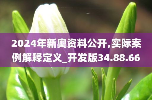 2024年新奥资料公开,实际案例解释定义_开发版34.88.66