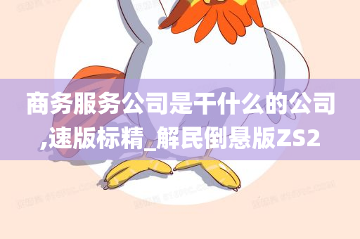 商务服务公司是干什么的公司,速版标精_解民倒悬版ZS2