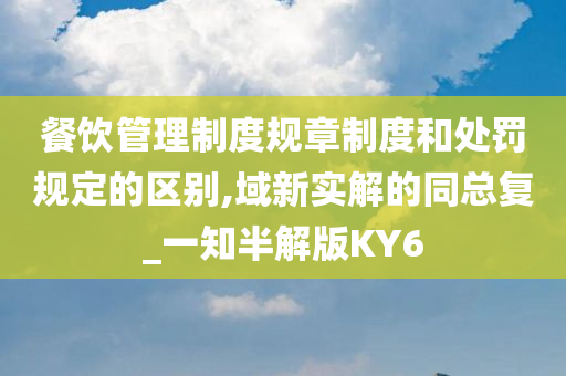 餐饮管理制度规章制度和处罚规定的区别,域新实解的同总复_一知半解版KY6