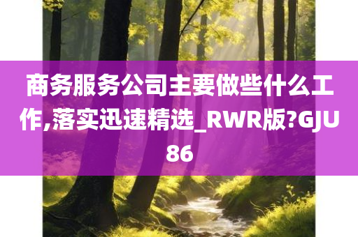 商务服务公司主要做些什么工作,落实迅速精选_RWR版?GJU86